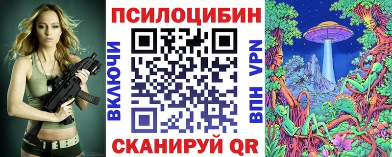 закладки  Кострома  Псилоцибиновые грибы GOLDEN TEACHER 