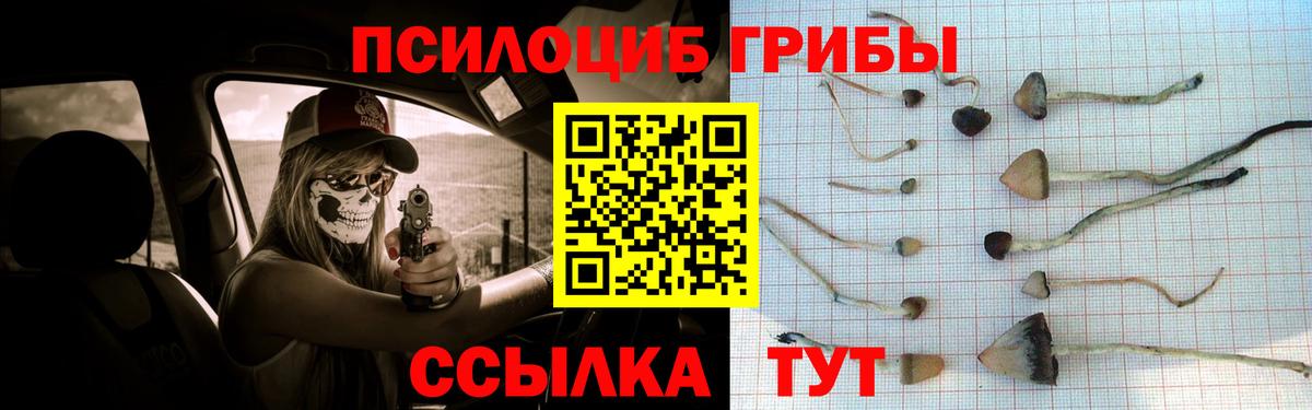 Псилоцибиновые грибы ЛСД Кострома