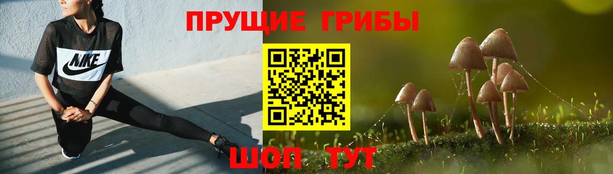 Кострома  Псилоцибиновые грибы Cubensis  Вход с VPN 